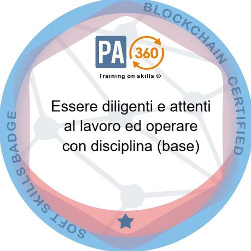 Badge pubblico 68025